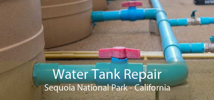 Water Tank Repair Sequoia National Park - California