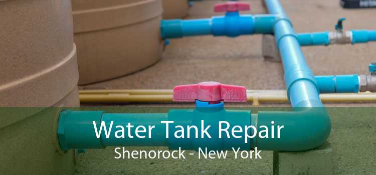 Water Tank Repair Shenorock - New York