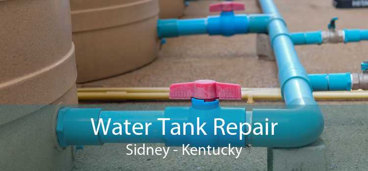 Water Tank Repair Sidney - Kentucky
