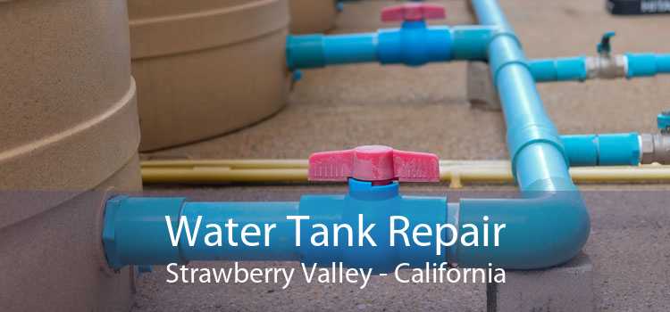 Water Tank Repair Strawberry Valley - California