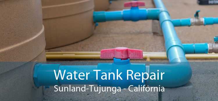 Water Tank Repair Sunland-Tujunga - California