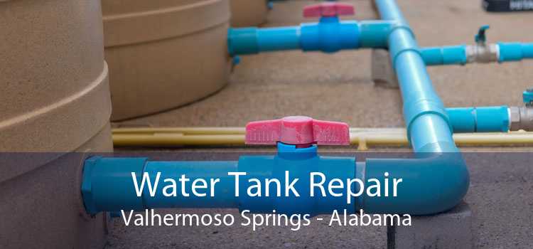 Water Tank Repair Valhermoso Springs - Alabama