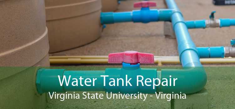 Water Tank Repair Virginia State University - Virginia