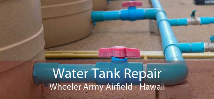 Water Tank Repair Wheeler Army Airfield - Hawaii