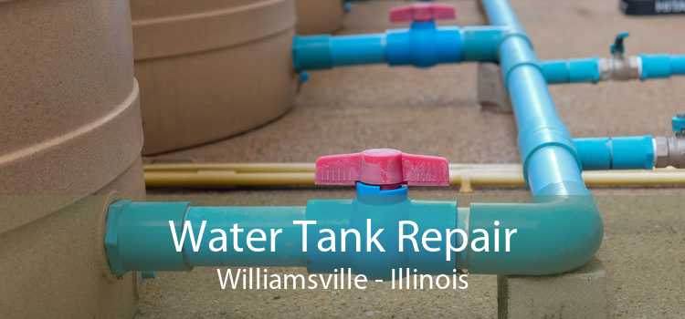 Water Tank Repair Williamsville - Illinois