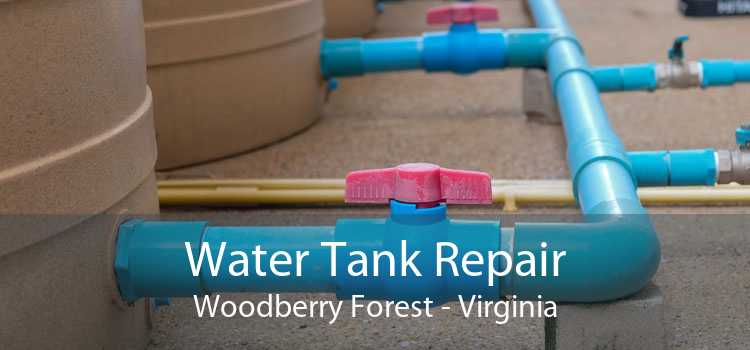 Water Tank Repair Woodberry Forest - Virginia