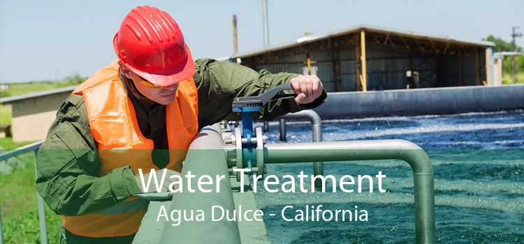 Water Treatment Agua Dulce - California