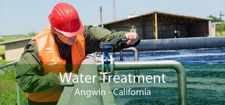 Water Treatment Angwin - California