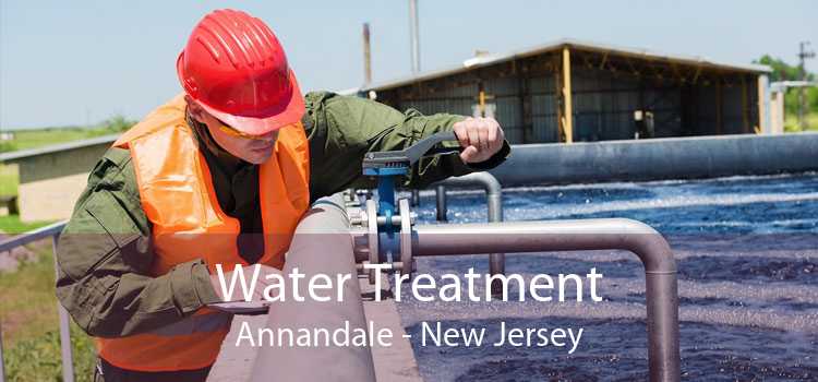 Water Treatment Annandale - New Jersey