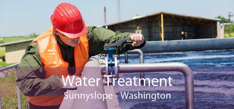 Water Treatment Sunnyslope - Washington